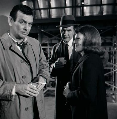 The Fugitive - A Gripping Tale of Wrongful Conviction and Relentless Pursuit Featuring David Janssen as the Accused Doctor!